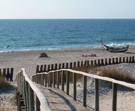 Torreirinha Holiday home *